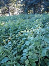 팜모닝 자유주제·자유게시판 게시글 이미지