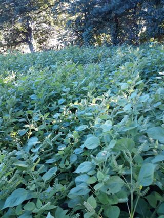 조동원님의 자유주제 · 자유게시판 작성글 사진