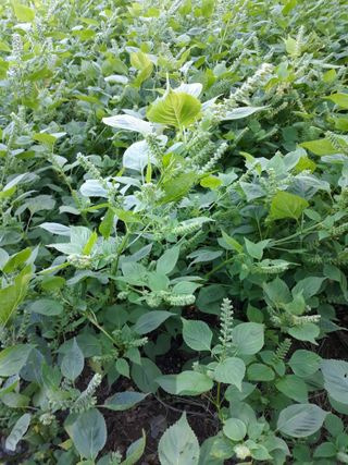 조동원님의 자유주제 · 자유게시판 작성글 사진