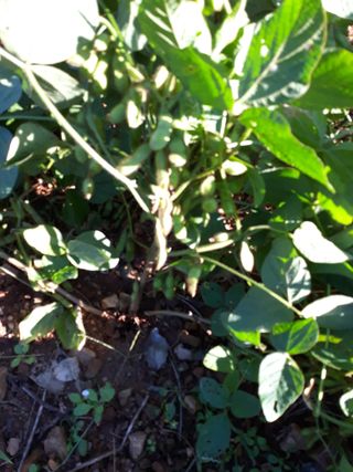 조동원님의 자유주제 · 자유게시판 작성글 사진