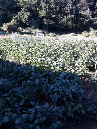 조동원님의 자유주제 · 자유게시판 작성글 사진