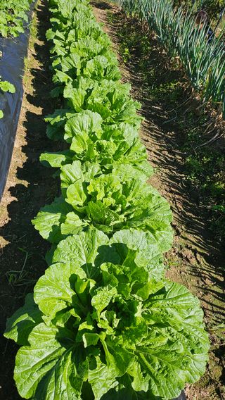 이원복님의 자유주제 · 사진전 작성글 사진