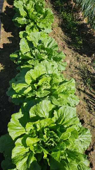 이원복님의 자유주제 · 사진전 작성글 사진