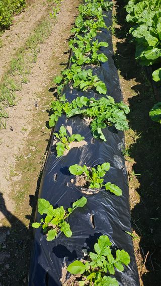 이원복님의 자유주제 · 사진전 작성글 사진