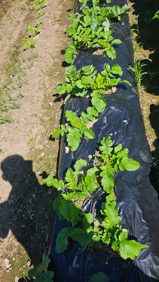 이원복님의 자유주제 · 사진전 작성글 사진