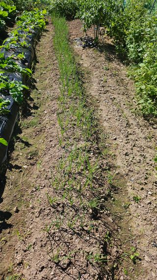 이원복님의 자유주제 · 사진전 작성글 사진