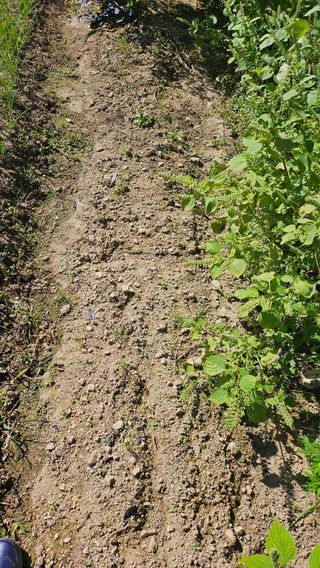 이원복님의 자유주제 · 사진전 작성글 사진