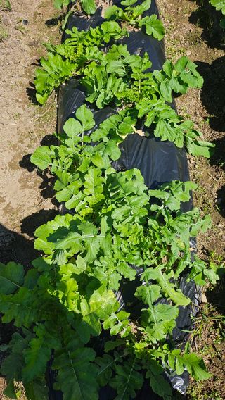 이원복님의 자유주제 · 사진전 작성글 사진