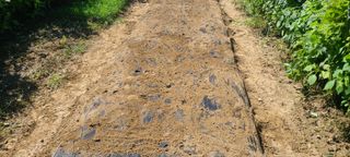 정진해님의 자유주제 · 자유게시판 작성글 사진