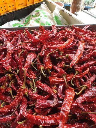 고추29286님의 고추 · 영농일지 작성글 사진