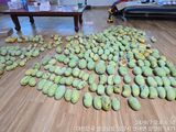 통통통님의 10월 내 농작물 자랑하기·참여글 작성글 사진