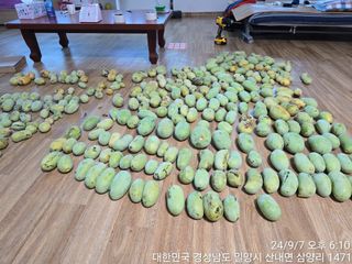 통통통님의 10월 내 농작물 자랑하기 · 참여글 작성글 사진