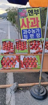 팜모닝 10월 내 농작물 자랑하기·참여글 게시글 이미지