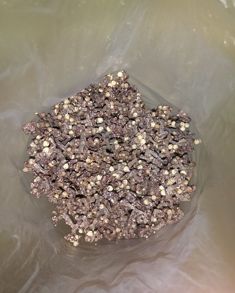 장터 상품 [헛께나무열매  800g15,000원(완전건조)] 썸네일