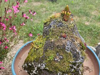 최연재님의 자유주제 · 사진전 작성글 사진