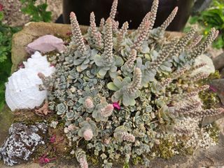 최연재님의 자유주제 · 사진전 작성글 사진