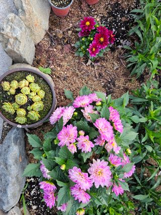 최연재님의 자유주제 · 사진전 작성글 사진