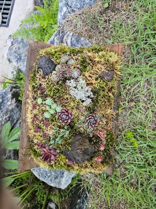 최연재님의 자유주제 · 사진전 작성글 사진