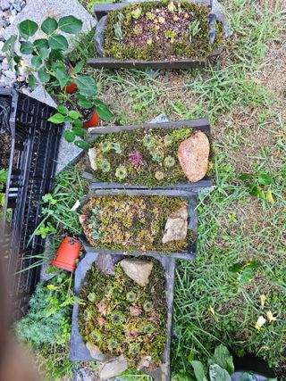 최연재님의 자유주제 · 사진전 작성글 사진