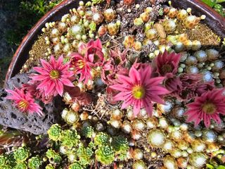 최연재님의 자유주제 · 사진전 작성글 사진