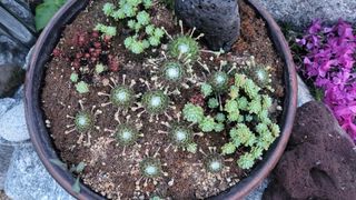 최연재님의 자유주제 · 사진전 작성글 사진