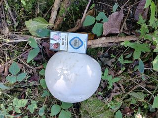 감19765님의 자유주제 · 자유게시판 작성글 사진