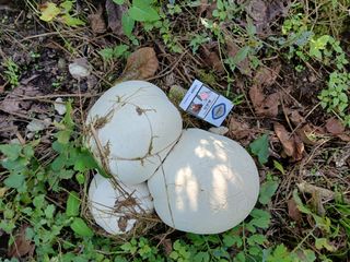 감19765님의 자유주제 · 자유게시판 작성글 사진