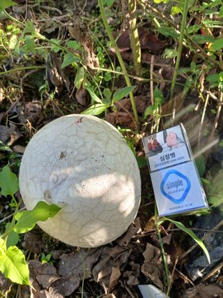 감19765님의 자유주제 · 자유게시판 작성글 사진