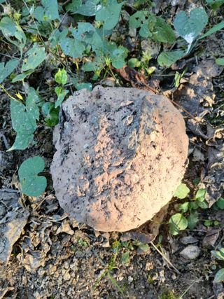 감19765님의 자유주제 · 자유게시판 작성글 사진