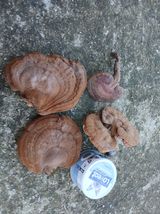 팜모닝 자유주제·사진전 게시글 이미지