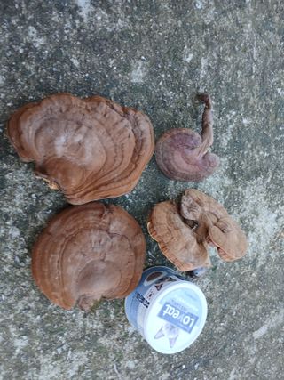 감19765님의 자유주제 · 사진전 작성글 사진