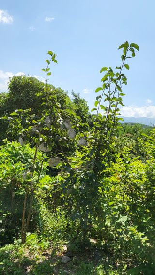 이선복님의 배 · 영농일지 작성글 사진