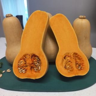 양자양행복농장님의 10월 내 농작물 자랑하기 · 참여글 작성글 사진