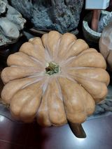 팜모닝 자유주제·사진전 게시글 이미지