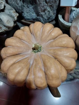 보현님의 자유주제 · 사진전 작성글 사진