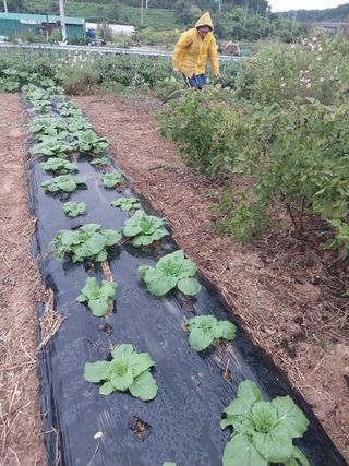 파키드&움메님의 자유주제 · 자유게시판 작성글 사진