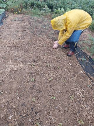파키드&움메님의 자유주제 · 자유게시판 작성글 사진