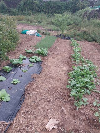 파키드&움메님의 자유주제 · 자유게시판 작성글 사진