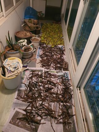 마바리63님의 기타작물 · 영농일지 작성글 사진