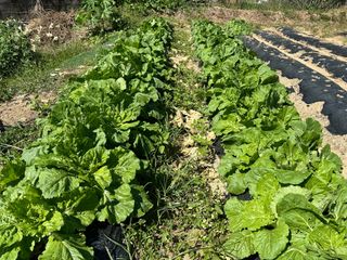 김윤희님의 자유주제 · 칭찬해요 작성글 사진