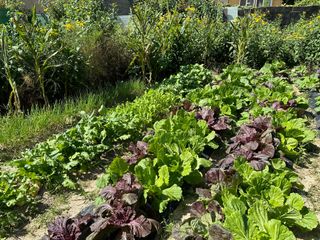 김윤희님의 자유주제 · 칭찬해요 작성글 사진