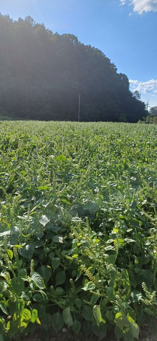 심 영훈님의 자유주제 · 자유게시판 작성글 사진