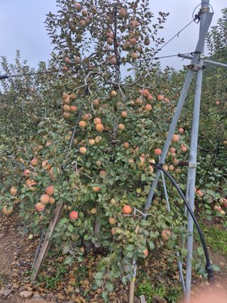 김귀분님의 자유주제 · 자유게시판 작성글 사진