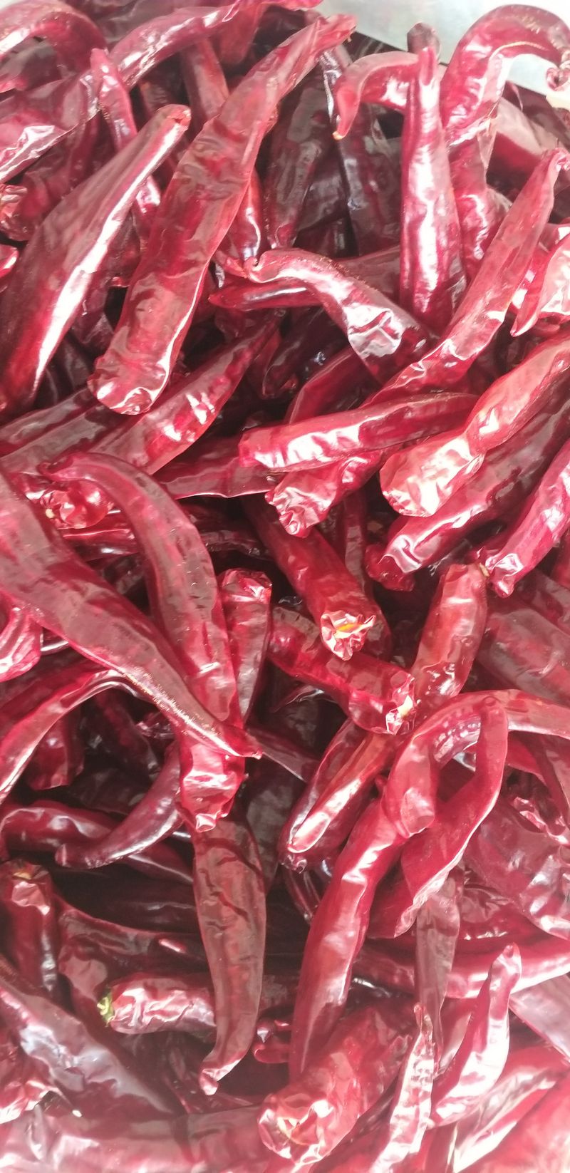 농부의딸램님의 장터 판매 상품 [(충남 청양산)11월17일 빻은 보통맛,순한맛 2024 햇고춧가루,반태양초(반양건)] 첨부 사진