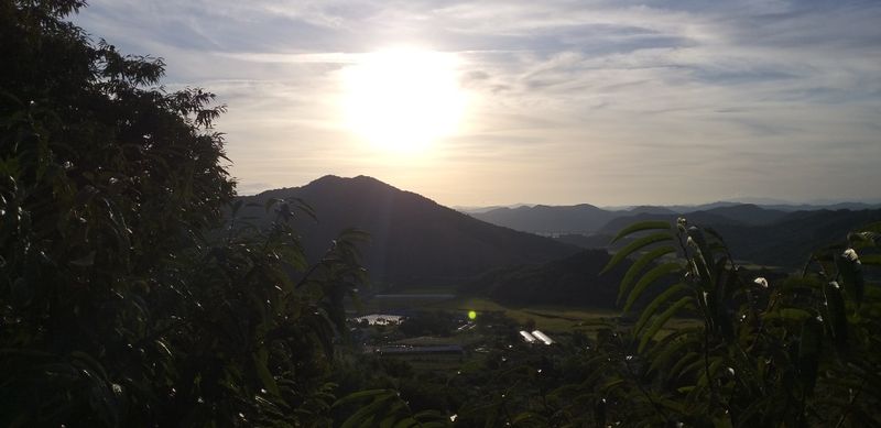 농부의딸램님의 장터 판매 상품 [(충남 청양산)11월17일 빻은 보통맛,순한맛 2024 햇고춧가루,반태양초(반양건)] 첨부 사진