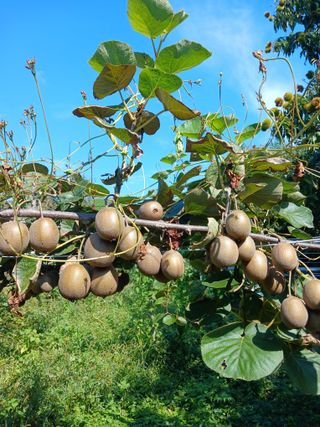 이동재님의 자유주제 · 사진전 작성글 사진