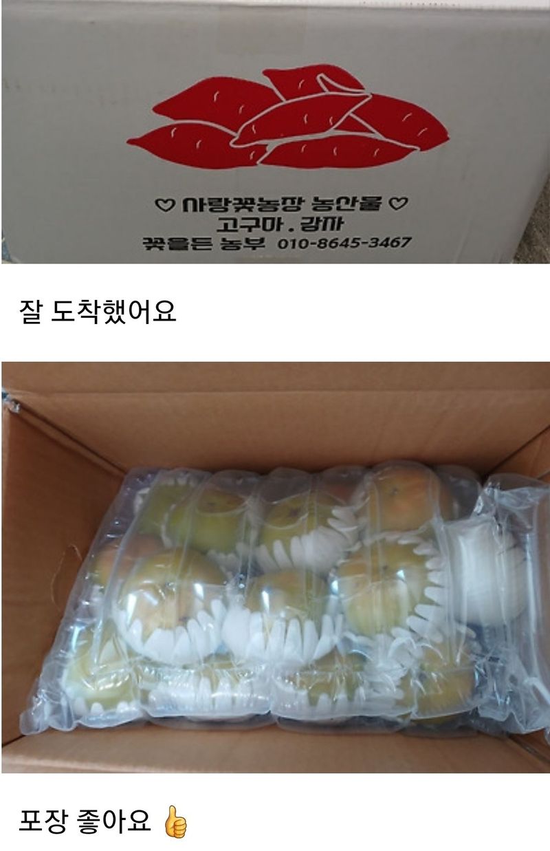 사랑꽃농장님의 장터 판매 상품 [대과)태추 단감2.5kg(9과 내외)] 첨부 사진