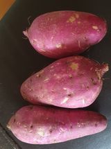 팜모닝 자유주제·자유게시판 게시글 이미지