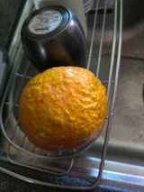 팜모닝 자유주제·자유게시판 게시글 이미지