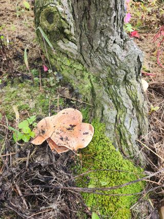 토마토21409님의 자유주제 · 자유게시판 작성글 사진